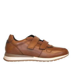 ARA 26912<br>COGNAC