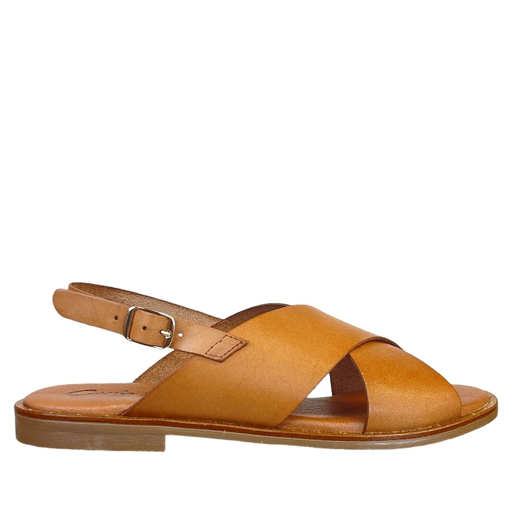 Carla tortosa<br>1529 camel