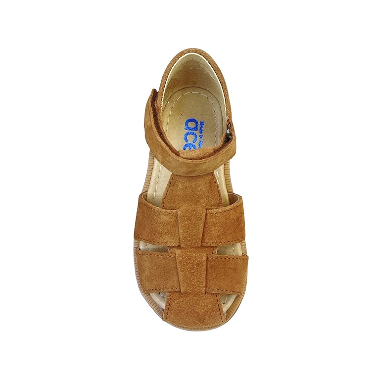 Acebos<br>1235 camel6300101_2